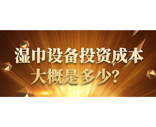 濕巾設備投資成本大概是多少？