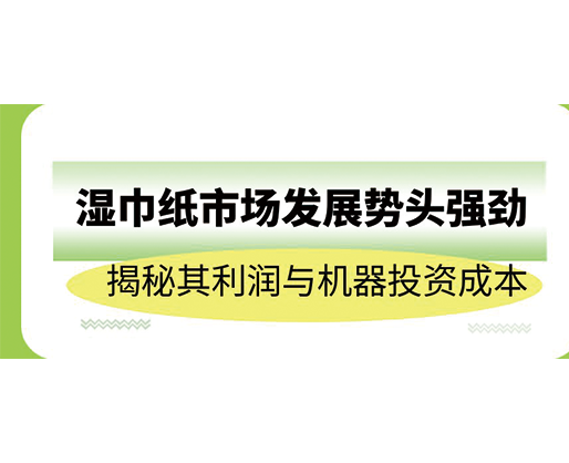 濕巾紙市場發(fā)展勢頭強勁，揭秘其利潤與機器投資成本