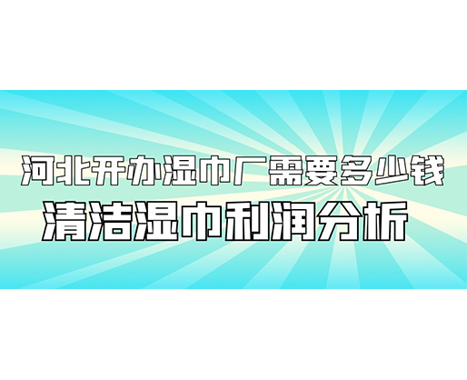 河北開(kāi)辦濕巾廠需要多少錢(qián)(附清潔濕巾利潤(rùn)分析)