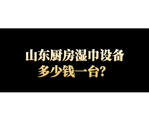 山東廚房濕巾設(shè)備多少錢(qián)一臺(tái)？