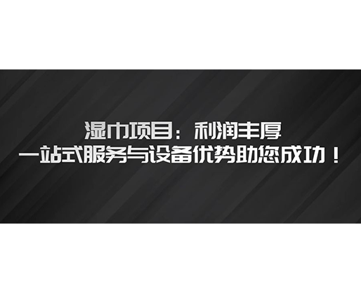 濕巾項(xiàng)目：利潤豐厚，一站式服務(wù)與設(shè)備優(yōu)勢助您成功！